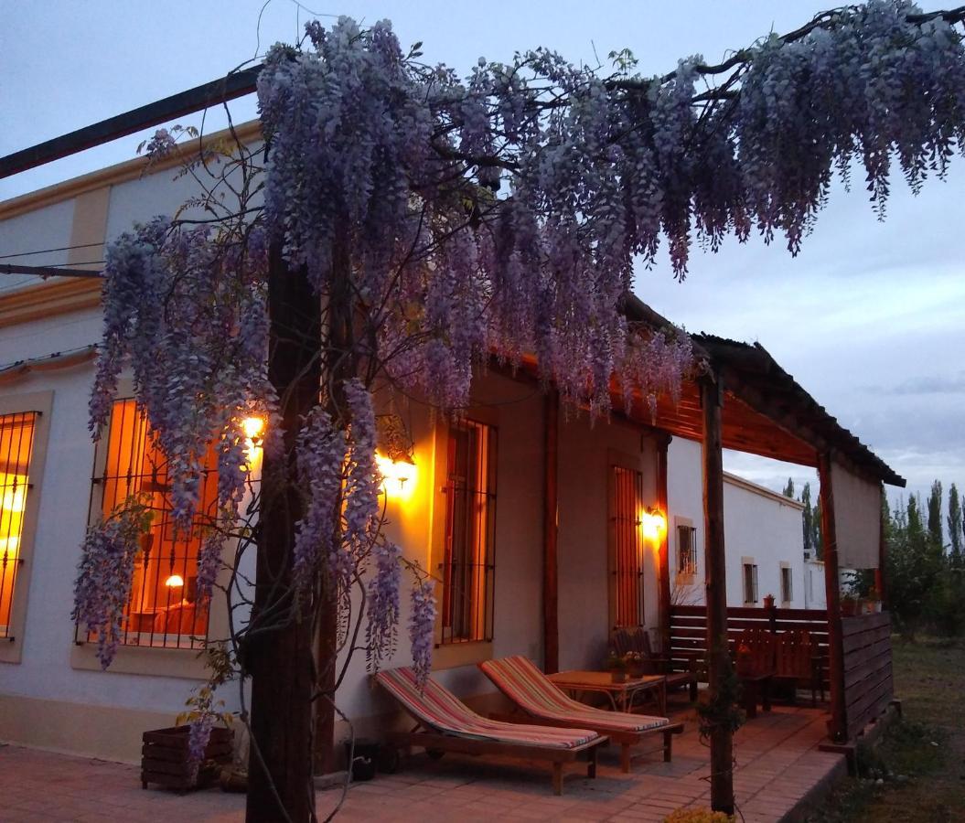 La Penultima-posada Casa de hóspedes